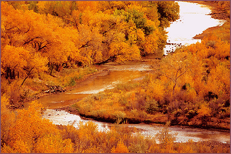 Abiquiu River Magic, color photograph by Woody Glloway, Santa Fe, NM