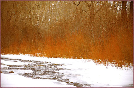 Frozen River, color photograph by Woody Glloway, Santa Fe, NM